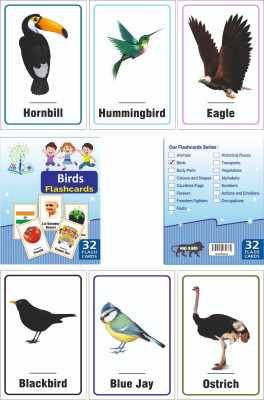Ashmi Birds 32 Pcs Laminated Flash Cards for Kids Toddlers Early Learning Age 3+(Multicolor)
