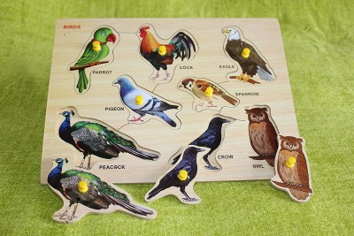 Childgossip Wooden Birds with Picture Educational Board(Multicolor)