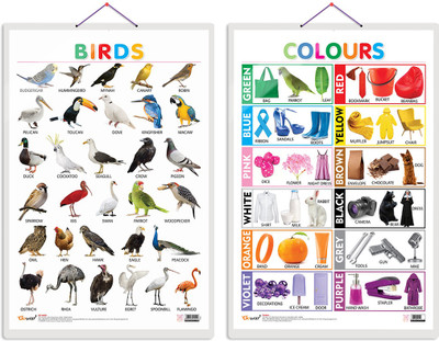 GO WOO Pack of 2 Birds and Colours Educational charts with Lamination(White)