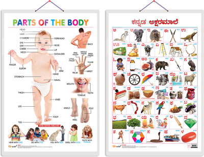 GO WOO Pack of 2 Parts of the Body and Kannada Alphabet Educational charts(Beige)