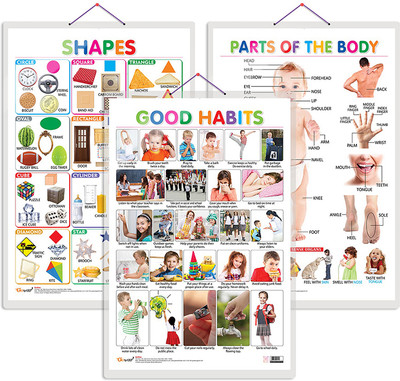 GO WOO Pack of 3 Shapes, Parts of the Body and Good Habits Charts(Gold)