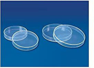 maruti Scientific Polystyrene Reusable Petri Dish(125 mm Pack of 10)