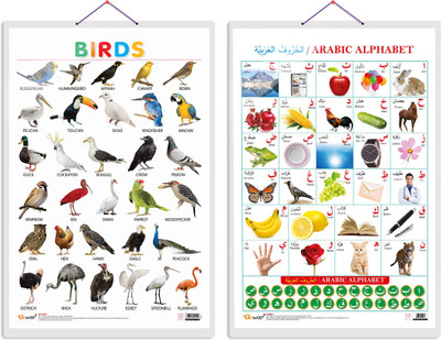 GO WOO Pack of 2 Birds and Arabic Alphabet (Arabic) Educational charts Lamination(Silver)