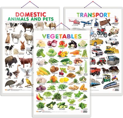 GO WOO Pack of 3 Vegetables, Domestic Animals and Pets and Transport Educational charts(Gold)