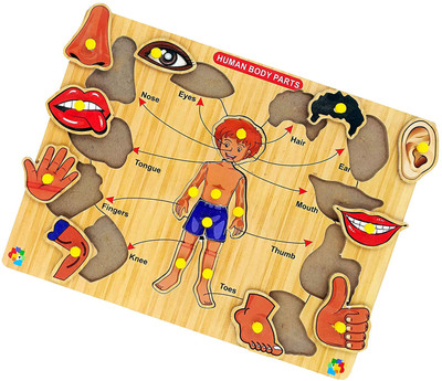 Cyrus BEST LEARNING TOY FOR KIDS WITH ALL BODY PART PUZZLE.(Multicolor)
