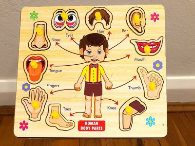 SHALAFI Wooden Human Body Parts Puzzle Games and Learning Educational Board for Kids(Beige, Multicolor)
