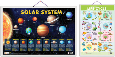 GO WOO Pack of 2 Solar System and Life Cycle Educational charts(Blue)