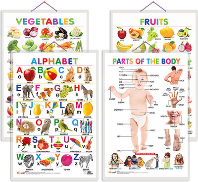 GO WOO Pack of 4 Alphabet, Fruits, Vegetables and Parts of the Body charts(Multicolor)