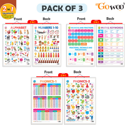 GO WOO Packof3|2IN 1ALPHABET&NUMBER1-10,NUMBER&FRACTION&MATHKEYWORD&PHONICS1&PHONICS2(Silver)