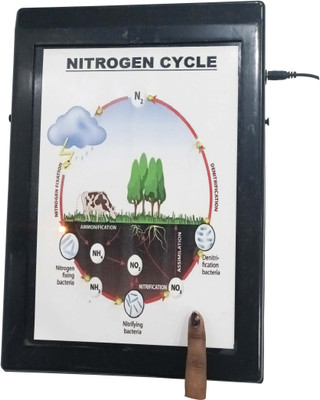 MELODY's Nitrogen Cycle Low Cost Teaching Aid (LOCTAS) Chemistry Science Project.(Multicolor)