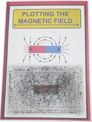 MELODY's Plotting the Magnetic Field Working Model Physics Project for School Student.(Multicolor)