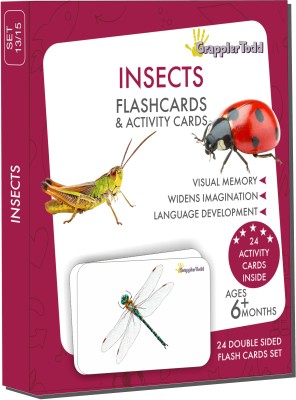 Grapplertodd Early Learning - Insects Flash Cards(Multicolor)