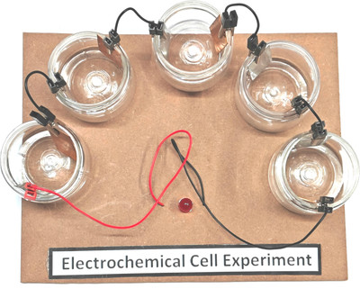 Esptronics Electrochemical Cell Experiment Class 12 Investigatory Science Project Electronic Components Electronic Hobby Kit