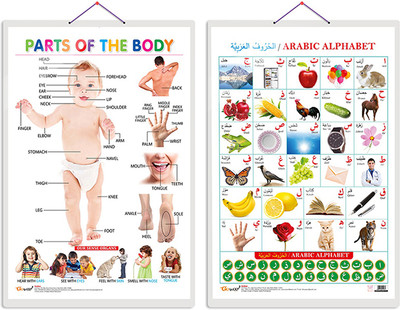 GO WOO Pack of 2 Parts of the Body and Arabic Alphabet Educational charts(White)
