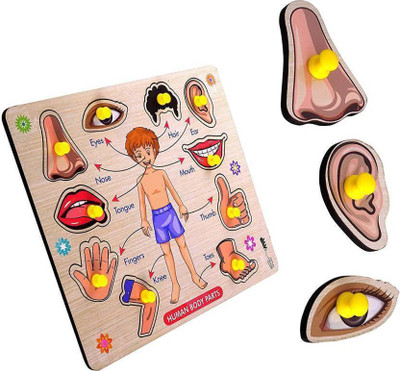 Shreevi Educational Learning Wooden Puzzle Board for Kids(Multicolor)