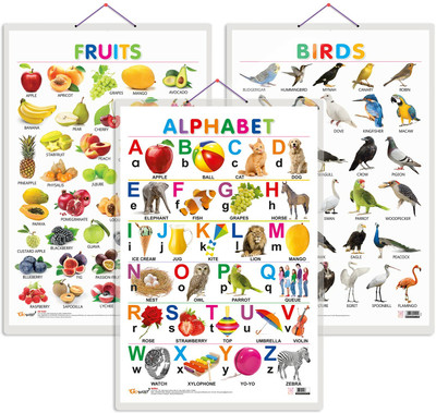 GO WOO Pack of 3 Alphabet, Fruits and Birds Educational charts(Gold)