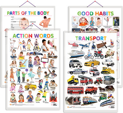 GO WOO Pack of 4 Parts of the Body, Good Habits, Action Words and Transport Charts(Orange)