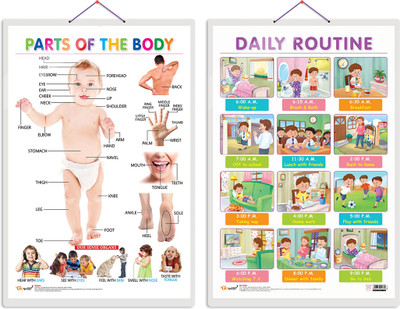 GO WOO Pack of 2 Parts of the Body and DAILY ROUTINE Educational charts(Black)