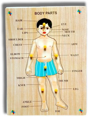 VSINDIA Wooden Human Body Parts Puzzle with Knobs, Learning Game for Kids (1 Pieces)(Multicolor)