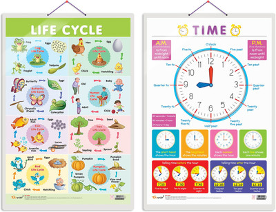 GO WOO Pack of 2 Life Cycle and TIME Educational charts(Grey)