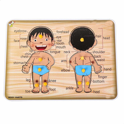 Trends Maker Kids Educational Learn Body Part Puzzle Game on Wooden Board(Multicolor)