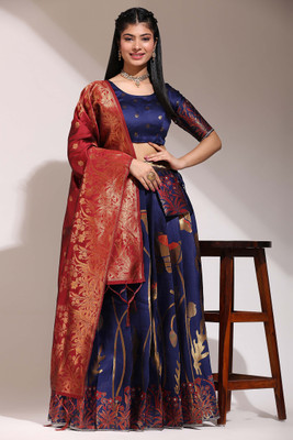 MR Y Self Design Semi Stitched Lehenga Choli(Dark Blue)