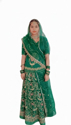 SHREE AMBEY TRADING Embroidered Semi Stitched Rajasthani Poshak(Green)