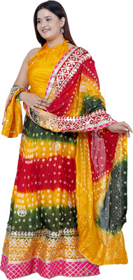 PAHNAVA Embroidered Semi Stitched Lehenga Choli(Multicolor)