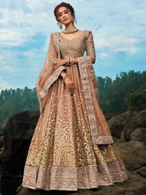 Tasrika Embroidered Semi Stitched Lehenga Choli(Brown)