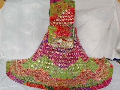 V And V Shop Embroidered Semi Stitched Lehenga Choli(Multicolor)