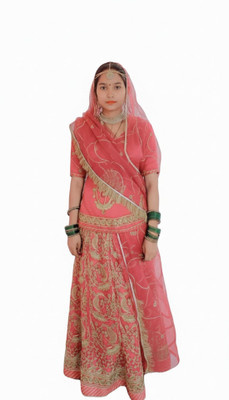 SHREE AMBEY TRADING Embroidered Semi Stitched Rajasthani Poshak(Pink)