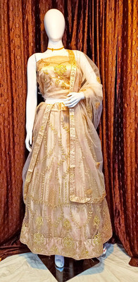 Spewim Embroidered Semi Stitched Lehenga Choli(Multicolor)