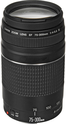 Canon EF 75 - 300 mm f/4-5.6 III  Telephoto Zoom  Lens(Black)