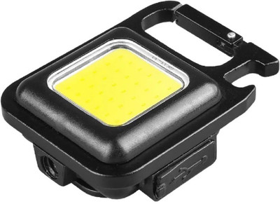 Verizant Small Pocket Flashlights Camping Keychain Light LED Spot Light(Black)