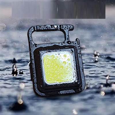 Edensol Mini Keychain Portable Pocket Lights with Folding Bracket LED Front Light(Black)