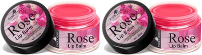 PARK DANIEL Rose Lip Balm For Dry & Chapped Lips | Lip Nourishment Pack of 2 Unit of 15gm(30 g, Assorted)