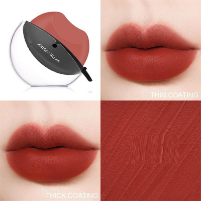 tanvi27 Long Lasting Matte & Gloss Lipstick Waterproof(LIGHT BROWN, 5 g)