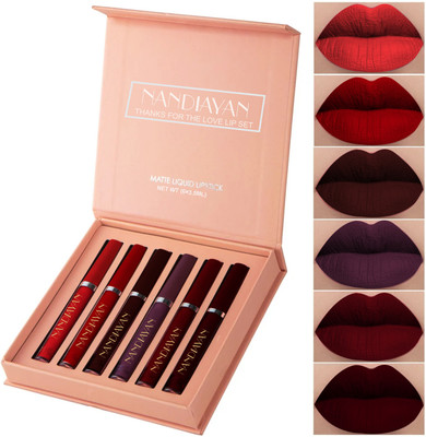 Nandiayan 6Pcs Long Lasting Matte Liquid Lipstick Combo–Waterproof,brown &Wine Shades SetD(Dark brown & Wine shades, 2.5 ml)