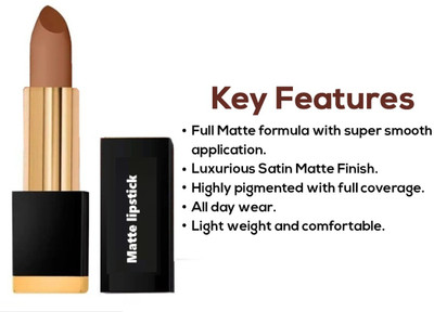 DARVING Color Stay Long Lasting Non Transfer Waterproof Matte Lipstick(LIGHT BROWN, 3.5 g)