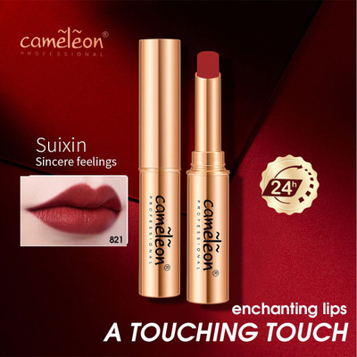Cameleon MATTE STYLE 24 HOURS STAY NON TRANSFER,WATERPROOF LIPSTICK(Caramel, 4 g)