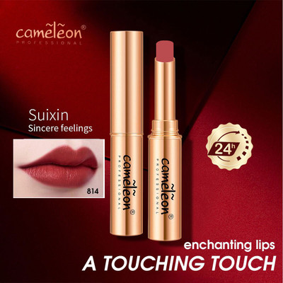 Cameleon MATTE STYLE 24 HOURS STAY NON TRANSFER,WATERPROOF LIPSTICK(NATURAL, 4 g)