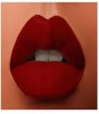 Luipui amazing maroon matte lipstick awesome waterproof(maroon, 6 g)