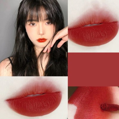 GABBU korean Ice Cube Matte Lipstick Velvet Transparent Lip Glaze(red, 4.5 ml)