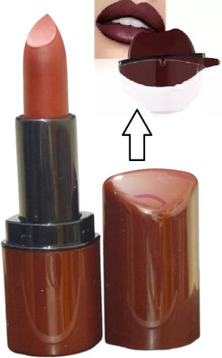 Luipui DARK BROWN MATTE LIPSTICK AND NEW DEGIEN APPLE SHPE LIPSTICK(BROWN, 7 g)