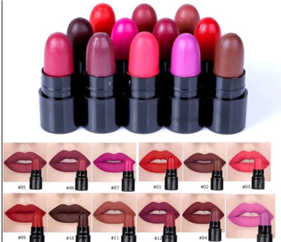 YELGO Popular Mini Matte Travel combo lipstick Pack of 12 matte finish 30 ml(Multicolor, 30 ml)