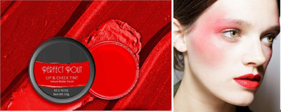 YAWI New Multi Use Matte Perfect Pout Finish Natural Long Lasting Lip Tint(RED ROSE, 10 g)