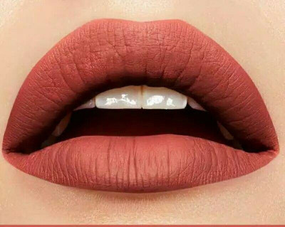 Latixmat High Pigment Moisturizing Non Transfer Long Lasting Matte Lipstick(Rustic, 3.8 g)