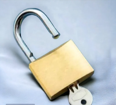 VTH Export Quality Heavy Duty Padlock 20mm with 3 keys Padlock(Brass)