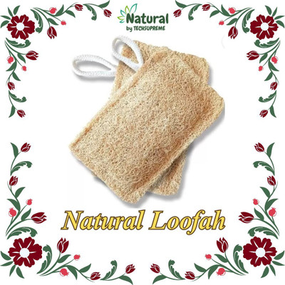 TechSupreme Loofah(Pack of 2, Brown)
