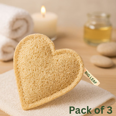 BIG LEAF Loofah(Pack of 3, Brown)